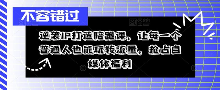 逆袭IP打造陪跑课，让每一个普通人也能玩转流量，抢占自媒体福利-副业网