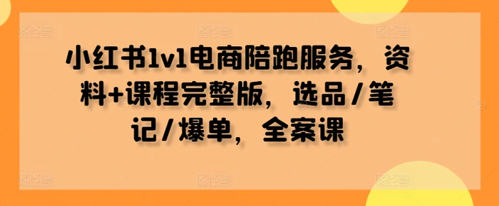 小红书1v1电商陪跑服务，资料+课程完整版，选品/笔记/爆单，全案课-副业网