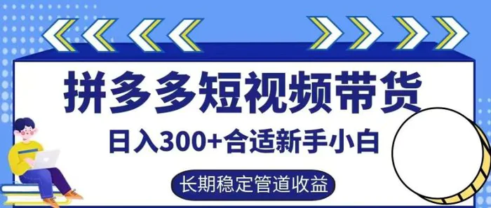 拼多多短视频带货日入300+有长期稳定被动收益，合适新手小白【揭秘】-副业网
