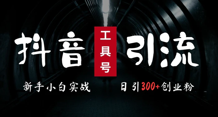 2024最新抖音工具号引流玩法，高效日引300+创业粉，当天变现5k，小白也可成为实战高手-副业网