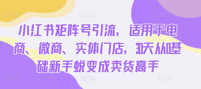 小红书矩阵号引流，适用于电商、微商、实体门店，30天从0基础新手蜕变成卖货高手-副业网