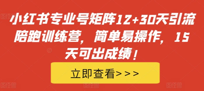 小红书专业号矩阵12+30天引流陪跑训练营，简单易操作，15天可出成绩!-副业网