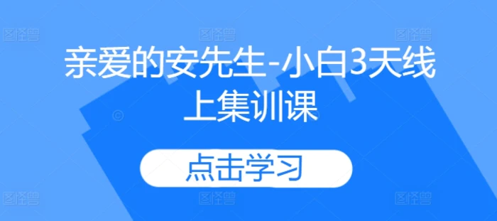 亲爱的安先生-小白3天线上集训课-副业网