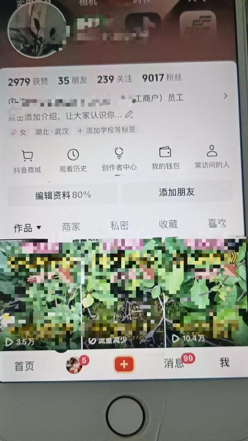 图片[2]-最新抖音暴力起万粉技术，一天涨万粉，发三四个作品涨近万粉-副业网