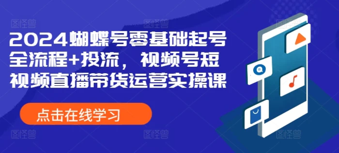 2024蝴蝶号零基础起号全流程+投流，视频号短视频直播带货运营实操课-副业网