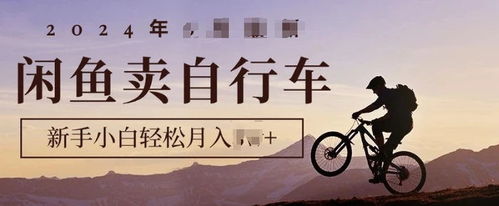 骑行圈的秘密之我在闲鱼卖自行车,项目门槛低,0成本就可以操作-副业网