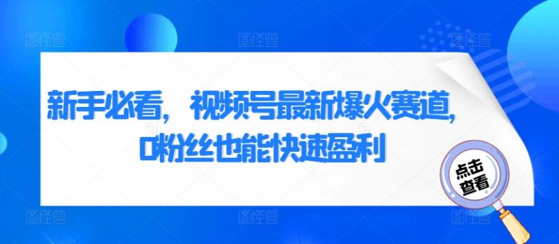 新手必看，视频号最新爆火赛道，0粉丝也能快速盈利-副业网