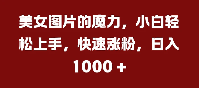 美女图片的魔力,小白轻松上手,快速涨粉,日入几张【揭秘】-副业网