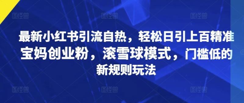 最新小红书引流自热，轻松日引上百精准宝妈创业粉，滚雪球模式，门槛低的新规则玩法-副业网