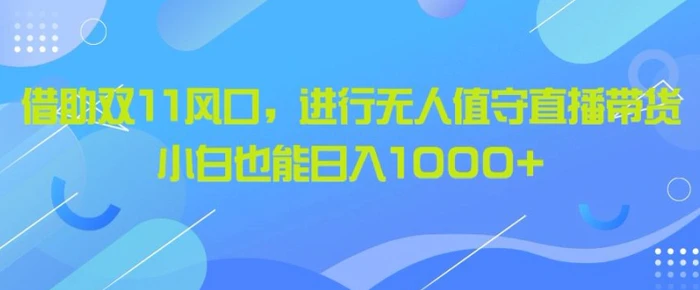借助双11风口,进行无人值守直播带货,小白也能日入1k-副业网