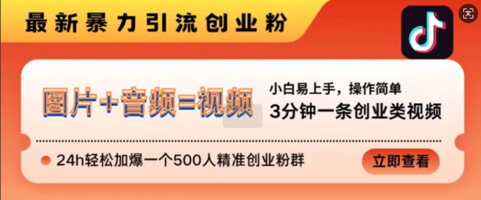 抖音最新暴力引流创业粉，3分钟一条创业类视频，24h轻松加爆一个500人精准创业粉群【揭秘】-副业网