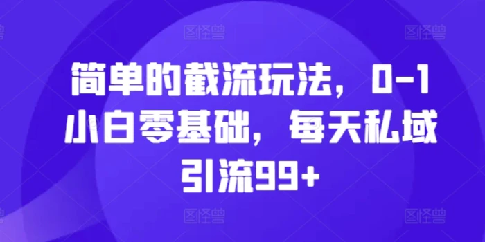 简单的截流玩法，0-1小白零基础，每天私域引流99+【揭秘】-副业网