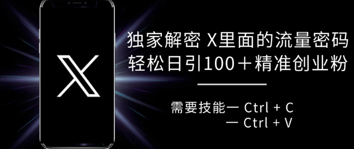 独家解密 X 里面的流量密码，复制粘贴轻松日引100+-副业网