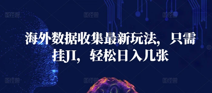 海外数据收集最新玩法，只需挂JI，轻松日入几张-副业网