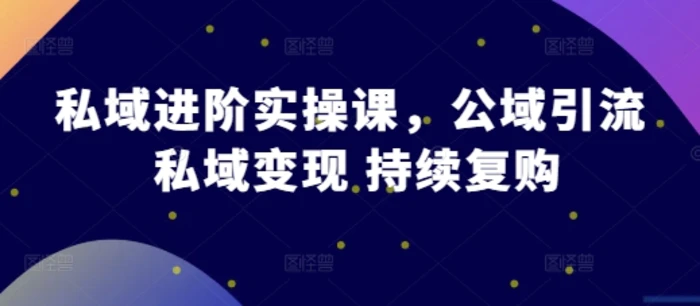 私域进阶实操课,公域引流 私域变现 持续复购-副业网