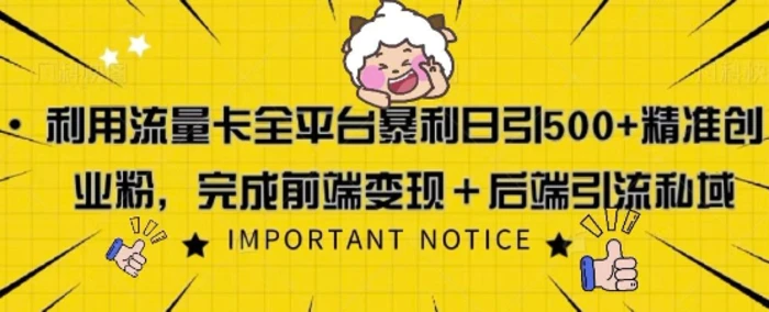利用流量卡全平台暴利日引500+精准创业粉-副业网