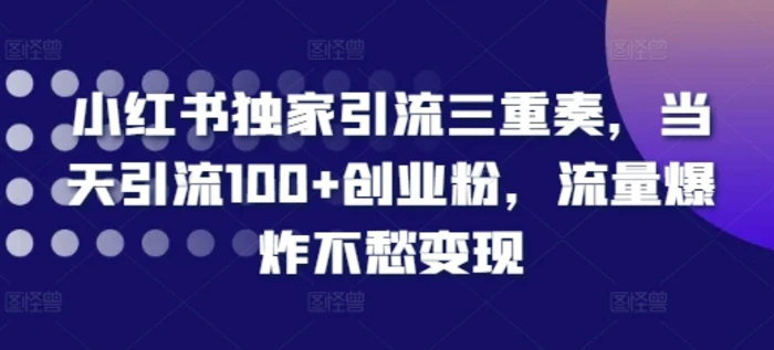 小红书独家引流三重奏，当天引流100+创业粉，流量爆炸不愁变现【揭秘】-副业网