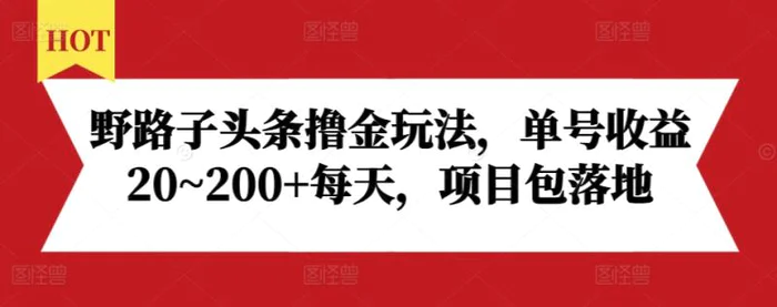 野路子头条撸金玩法,单号收益20~200+每天,项目包落地-副业网