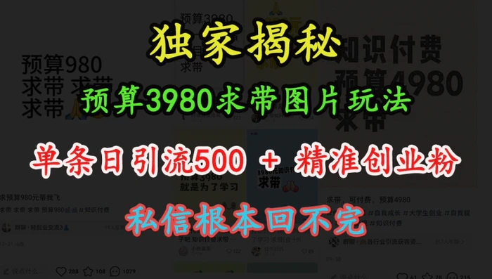 预算3980求带 图片玩法，单条日引流500+精准创业粉，私信根本回不完-副业网
