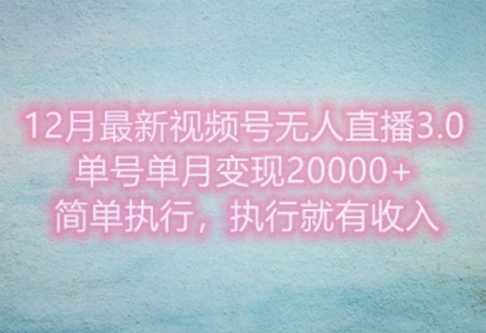 12月最新视频号无人直播3.0，单号单月变现过w，简单执行，执行就有收入-副业网