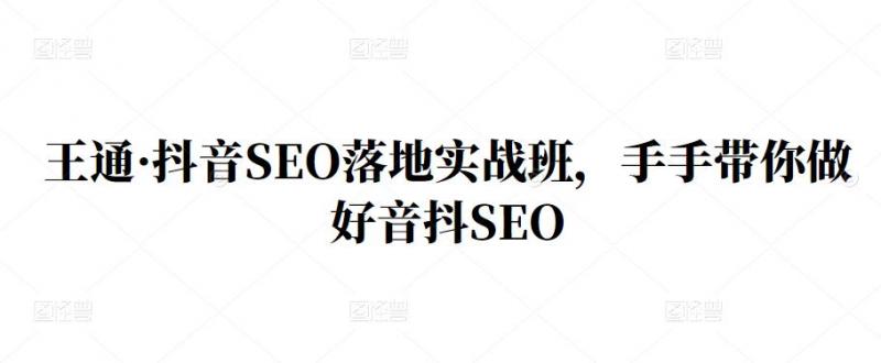 王通·抖音SEO落地实战班，手‬手带你做好音抖‬‬SEO-副业网