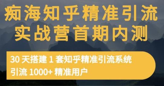 痴海知乎精准引流实战营1-2期，30天搭建1套知乎精准引流系统，引流1000+精准用户-副业网
