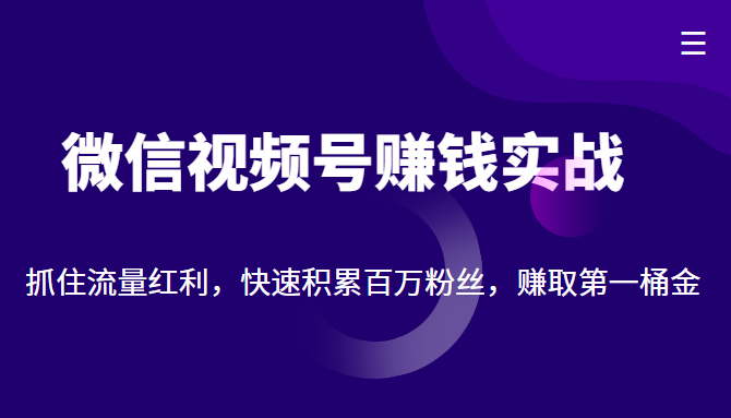 微信视频号赚钱实战：抓住流量红利，快速积累百万粉丝，赚取你的第一桶金-副业网