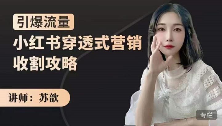 苏歆：小红书穿透式营销收割攻略，引爆流量，助你玩转小红书-副业网