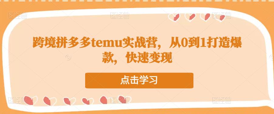 跨境拼多多temu实战营，从0到1打造爆款，快速变现-副业网