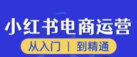 顽石小红书电商高阶运营课程，从入门到精通，玩法流程持续更新-副业网