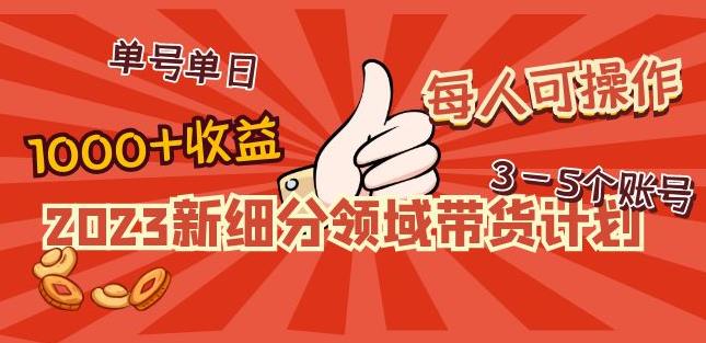 2023新细分领域带货计划：单号单日1000+收益不难，每人可操作3-5个账号-副业网