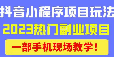 抖音小程序9.0新技巧，2023热门副业项目，动动手指轻松变现-副业网