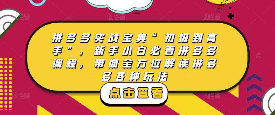 拼多多实战宝典“初级到高手”，新手小白必看拼多多课程，带你全方位解读拼多多各种玩法-副业网