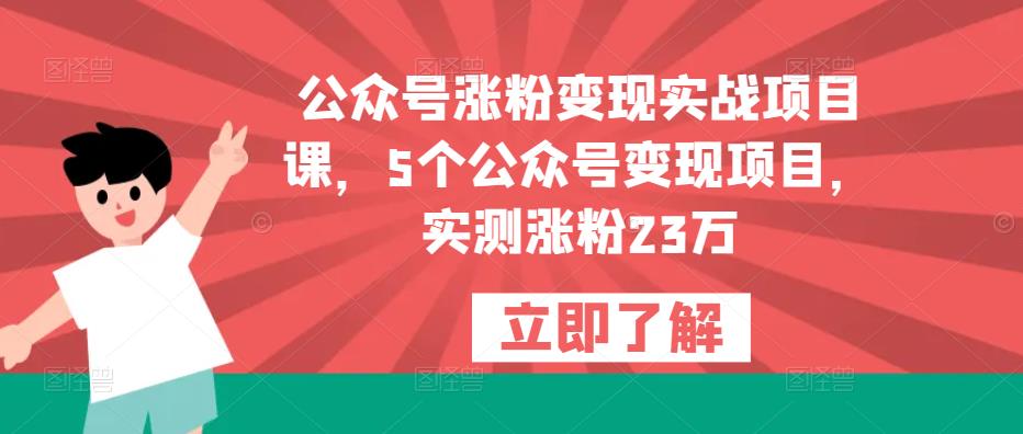公众号涨粉变现实战项目课，5个公众号变现项目，实测涨粉23万-副业网