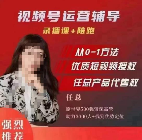 任姐视频号运营，懂老板的任总视频号短视频运营，从0到1做视频号课程-副业网