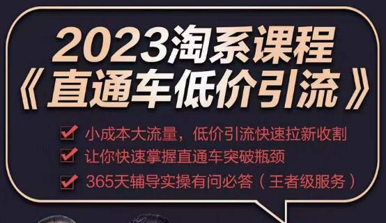 2023直通车低价引流玩法课程，小成本大流量，低价引流快速拉新收割，让你快速掌握直通车突破瓶颈-副业网