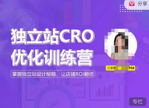独立站CRO优化训练营，掌握独立站设计秘籍，打造高转化的独立站，让店铺ROI翻倍-副业网