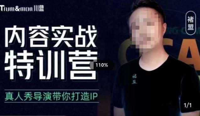 褚盟·内容实战特训营，真人秀导演带你打造探店IP-副业网