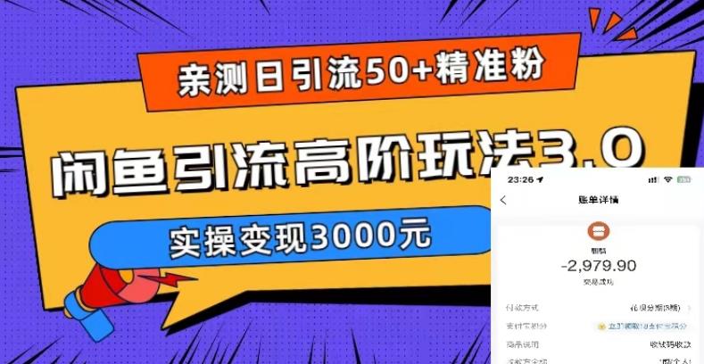 亲测日引50+精准粉，闲鱼引流高阶玩法3.0，实操变现3000元【揭秘】-副业网