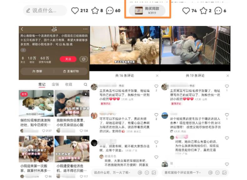 图片[3]-小红书蓝海类赛道：小动物打赏与购买变现副业项目，一条龙玩法分享给你！-副业网