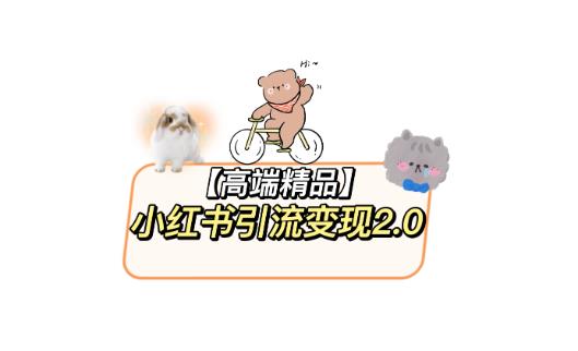 小红书最新引流变现教程，全网最新最详细的视频教程以及素材-副业网