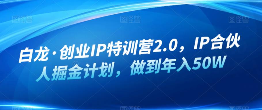 白龙·创业IP特训营2.0，IP合伙人掘金计划，做到年入50W-副业网