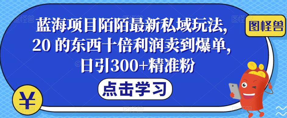 蓝海项目陌陌最新私域玩法，20 的东西十倍利润卖到爆单，日引300+精准粉【揭秘】-副业网
