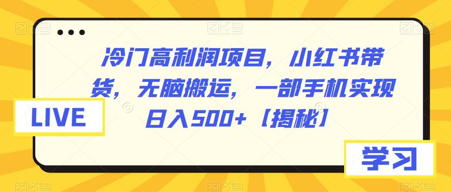 冷门高利润项目，小红书带货，无脑搬运，一部手机实现日入500+【揭秘】-副业网