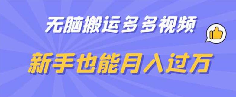 无脑搬运多多视频，新手也能月入过万【揭秘】-副业网