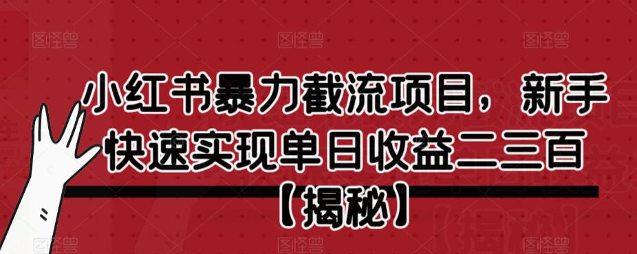 小红书暴力截流项目，新手快速实现单日收益二三百【仅揭秘】-副业网