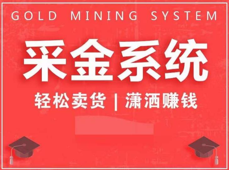采金系统2.0,私域成交,快速成交收钱,轻松卖货,业绩暴涨,潇洒赚钱-副业网