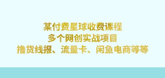 某付费星球课程:多个网创实战项目,撸货线报、流量卡、闲鱼电商等(文档非视频)-副业网