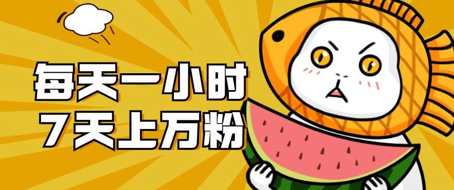 暴力涨粉项目：每天一小时，七天上万粉【揭秘】-副业网