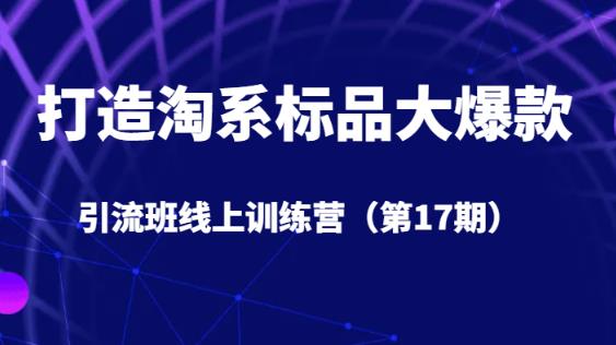 打造淘系标品大爆款引流班线上训练营（第17期）5天直播授课-副业网